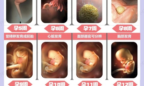 孕期眼睛周围长了很多红点-怀孕脸上眼睛长小红点是怎么回事网—知名的怀孕脸上眼睛长小红点是怎么回事图片网站,分享怀孕之后眼睛红了一块知识