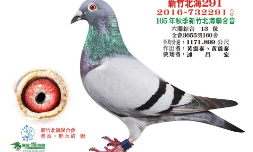 孕期眼睛周围长了很多红点-怀孕脸上眼睛长小红点是怎么回事网—知名的怀孕脸上眼睛长小红点是怎么回事图片网站,分享怀孕之后眼睛红了一块知识